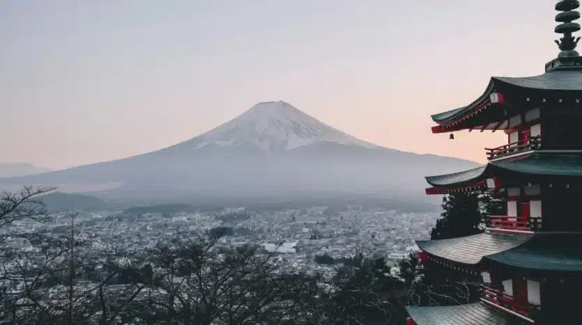 A complete moving checklist for Japanese expats covering customs clearance, visa requirements, insurance, and housing tips for a stress-free relocation.