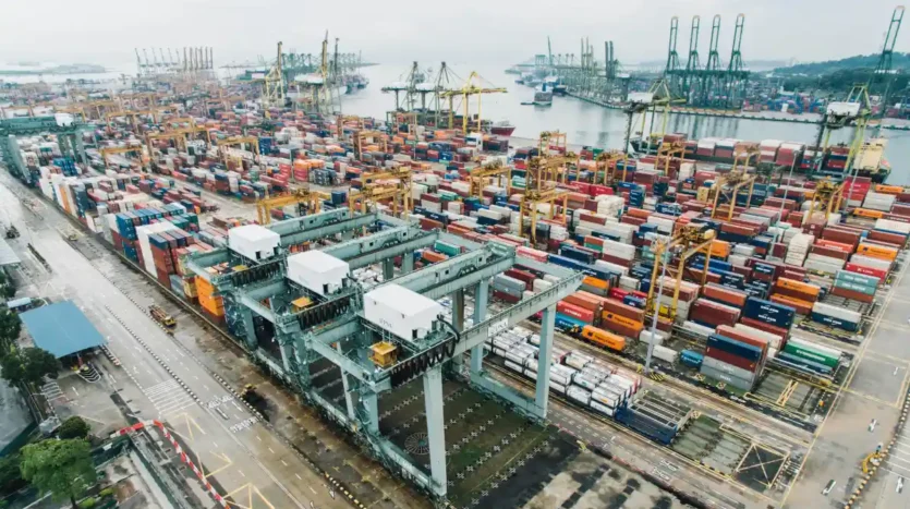 Understanding-Shipping-Options-and-Transit-Times